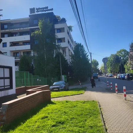Lea Krakow